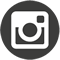 Instagram Icon